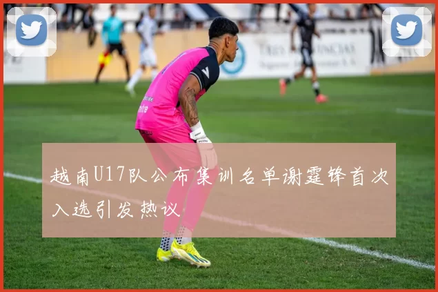 越南U17队公布集训名单谢霆锋首次入选引发热议